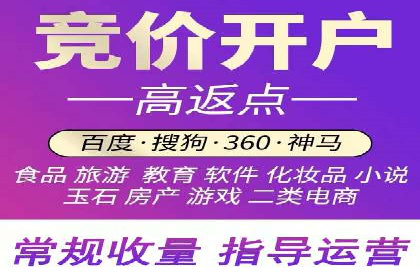 百度竞价代理的投放技巧与效果评估案例